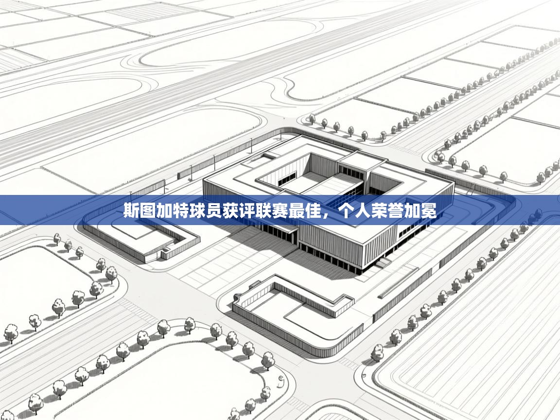 斯图加特球员获评联赛最佳，个人荣誉加冕  第1张