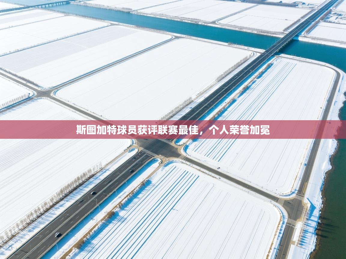 斯图加特球员获评联赛最佳，个人荣誉加冕  第2张