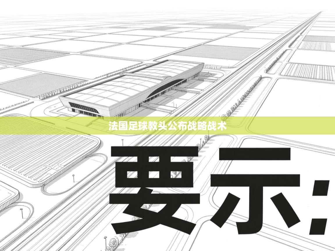 法国足球教头公布战略战术  第2张