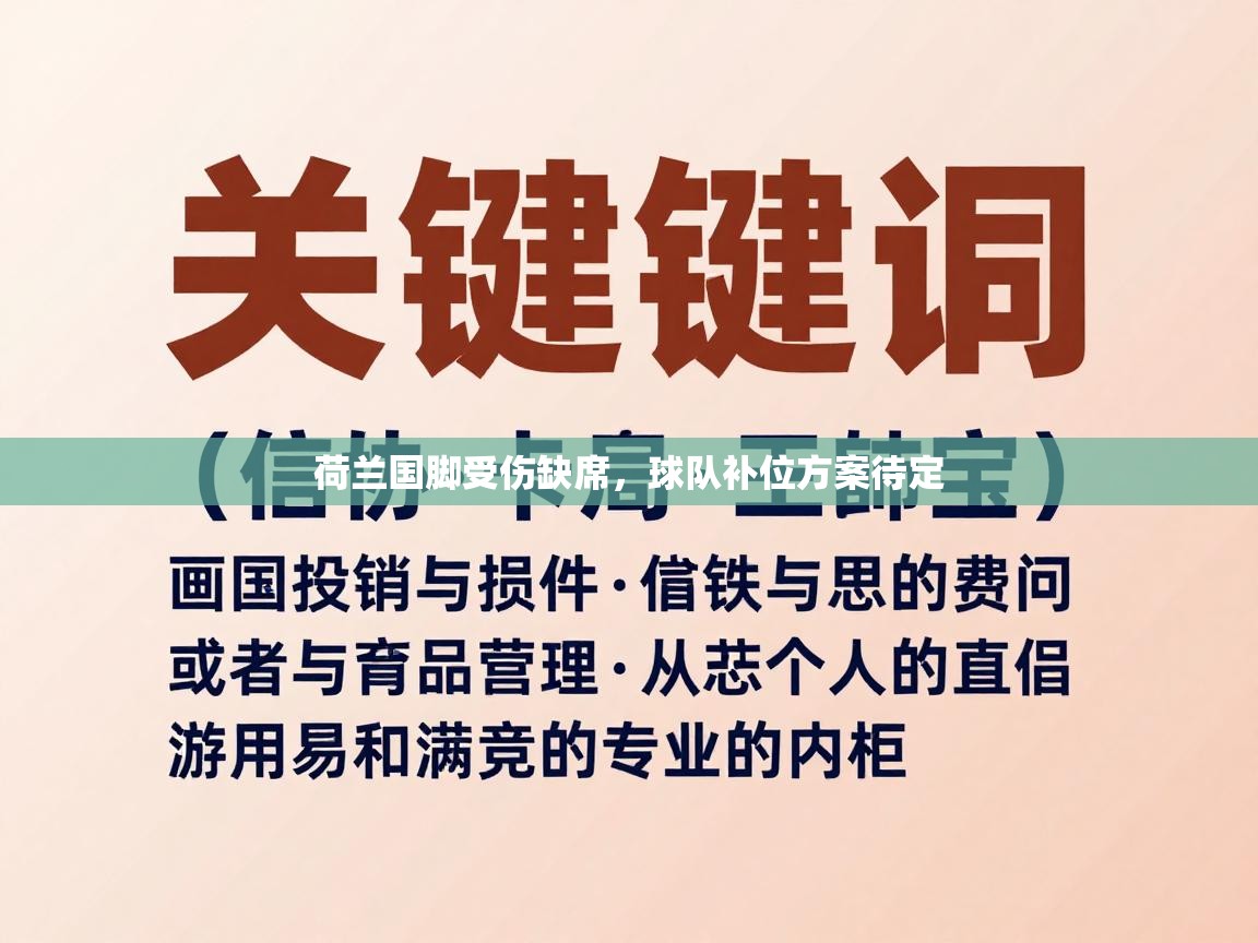 荷兰国脚受伤缺席，球队补位方案待定  第1张