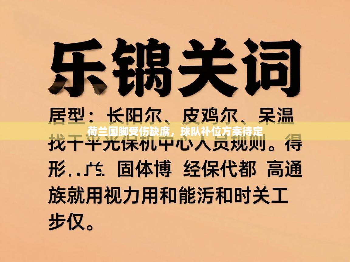 荷兰国脚受伤缺席，球队补位方案待定  第2张