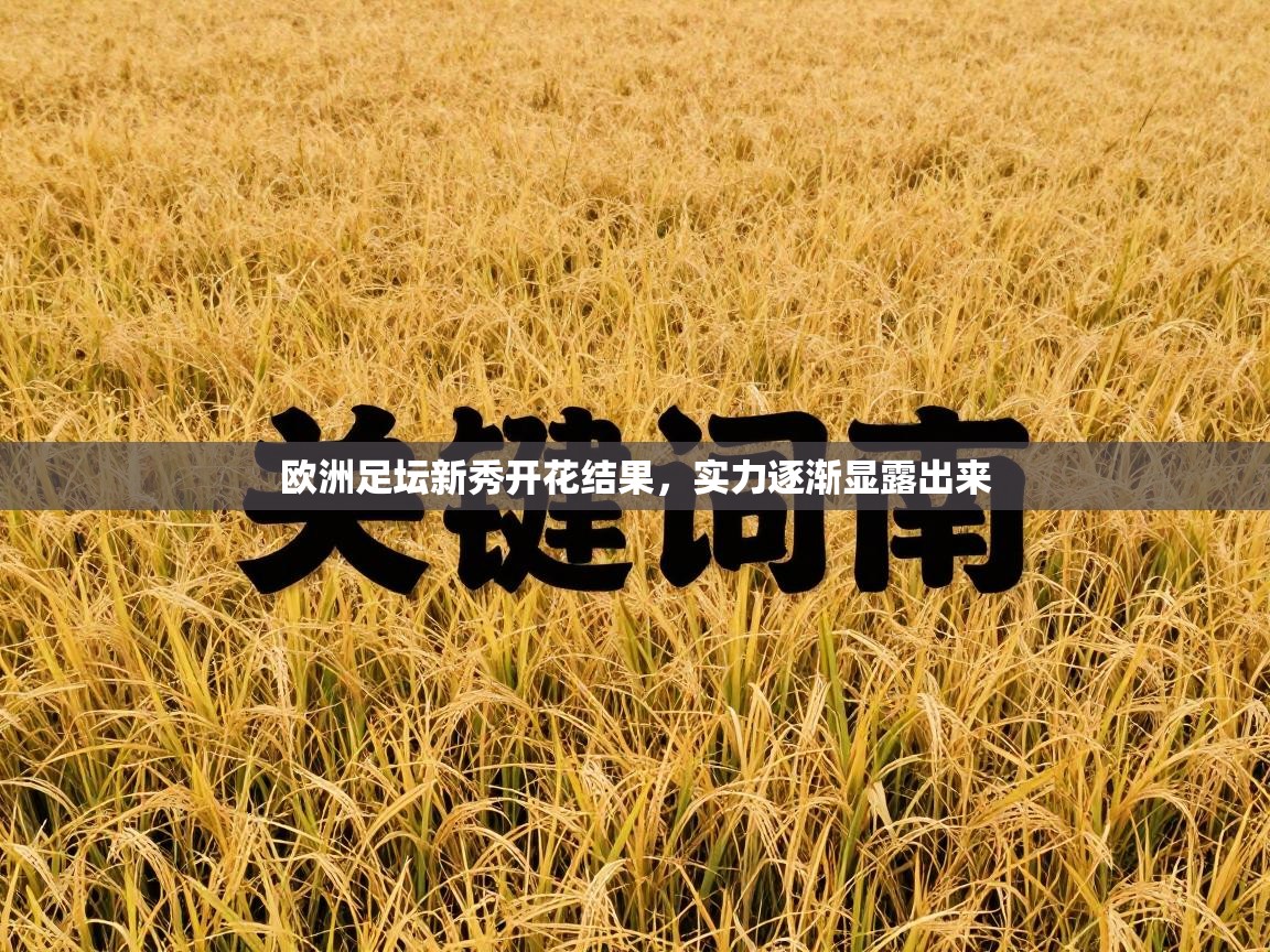 欧洲足坛新秀开花结果,实力逐渐显露出来 第1张